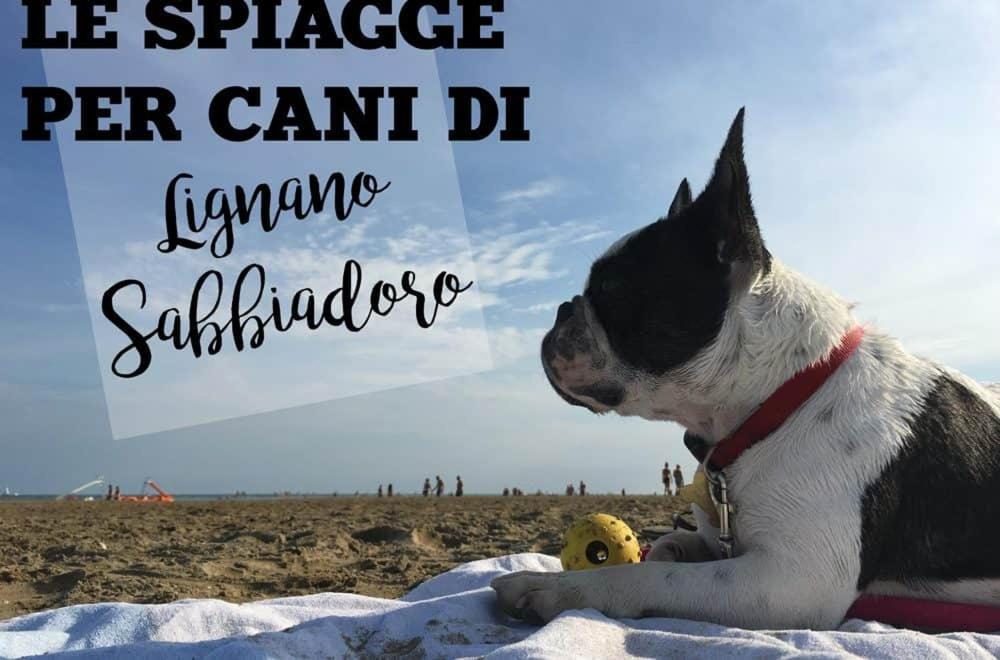 Hotel Nuova Graziosa 3*